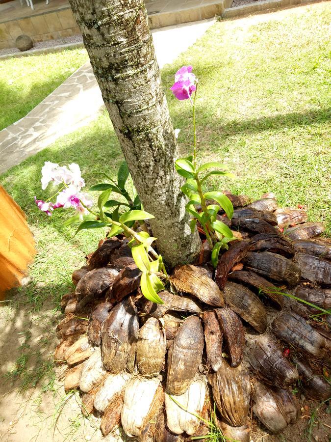 Chalets De Palma La Digue Luaran gambar